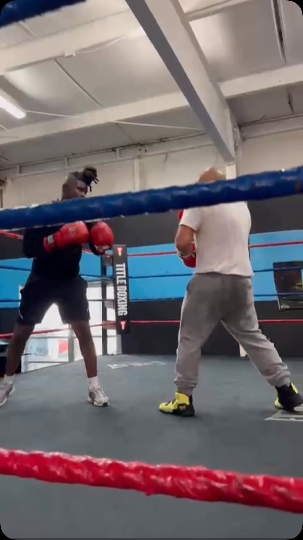 Two members sparring inside the ring